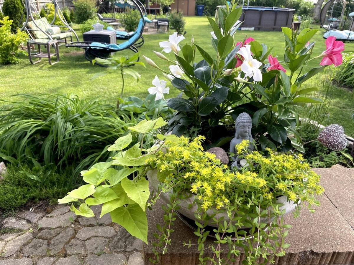 Schaumburg Paradise Oasis With A Secret Garden And Private Pool المظهر الخارجي الصورة