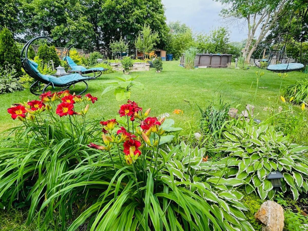 Schaumburg Paradise Oasis With A Secret Garden And Private Pool المظهر الخارجي الصورة